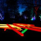 Mannheim Luisenpark Winterlichter 2019