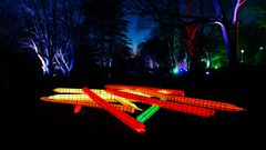 Mannheim Luisenpark Winterlichter 2019