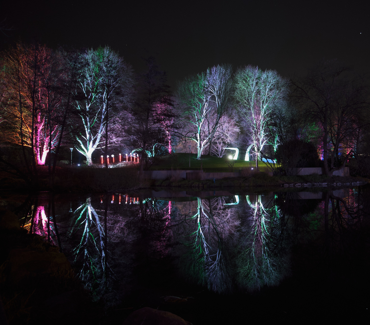 Mannheim Luisenpark Winterlichter