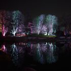 Mannheim Luisenpark Winterlichter