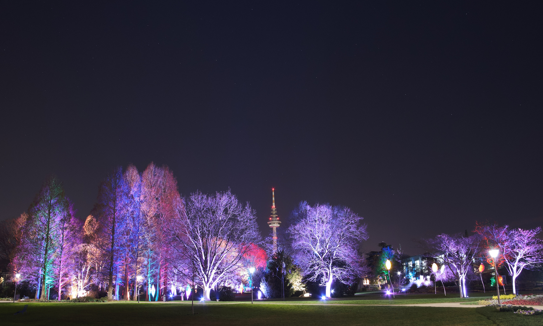 Mannheim Luisenpark Winterlichter