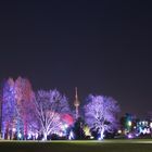 Mannheim Luisenpark Winterlichter