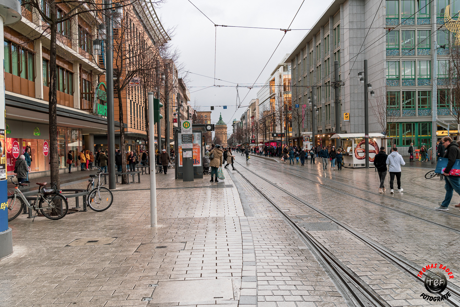 Mannheim und seine ...