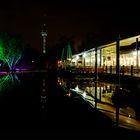 Mannheim², Winterlicht im Luisenpark