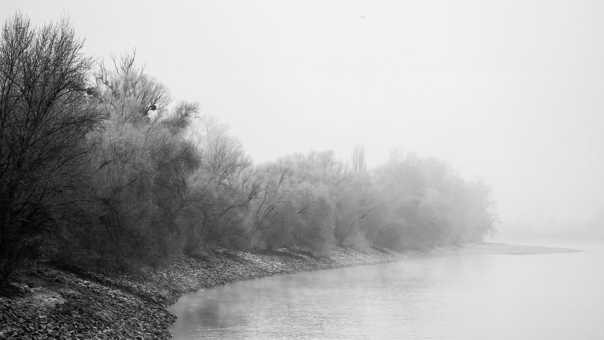 Mannheim. Wintermorgen an der Reiß-Insel.