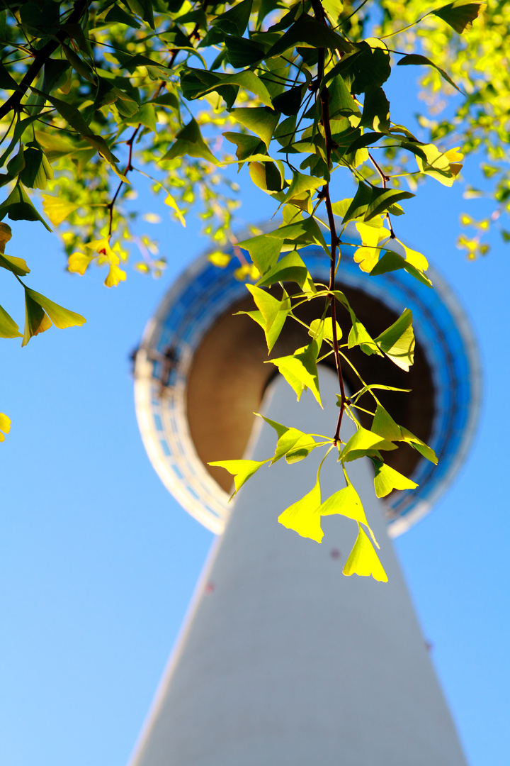 Mannheimer Fernsehturm von unten