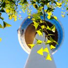 Mannheimer Fernsehturm von unten