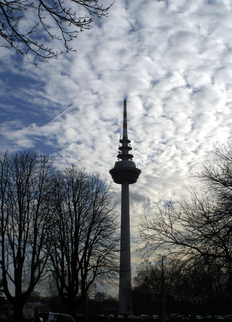 "Mannheimer Stimmungen" - Fernsehturm in den Wolken