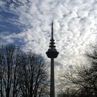 "Mannheimer Stimmungen" - Fernsehturm in den Wolken