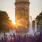 Mannheimer Wasserturm