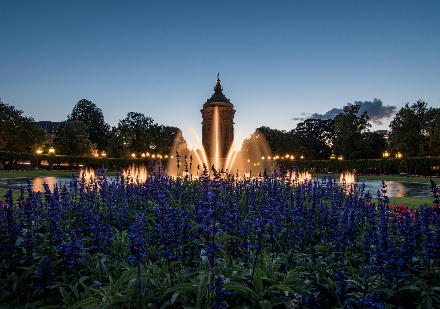 Mannheimer Wasserturm