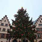 ,,Manni" der Frankfurter Weihnachtbaum 