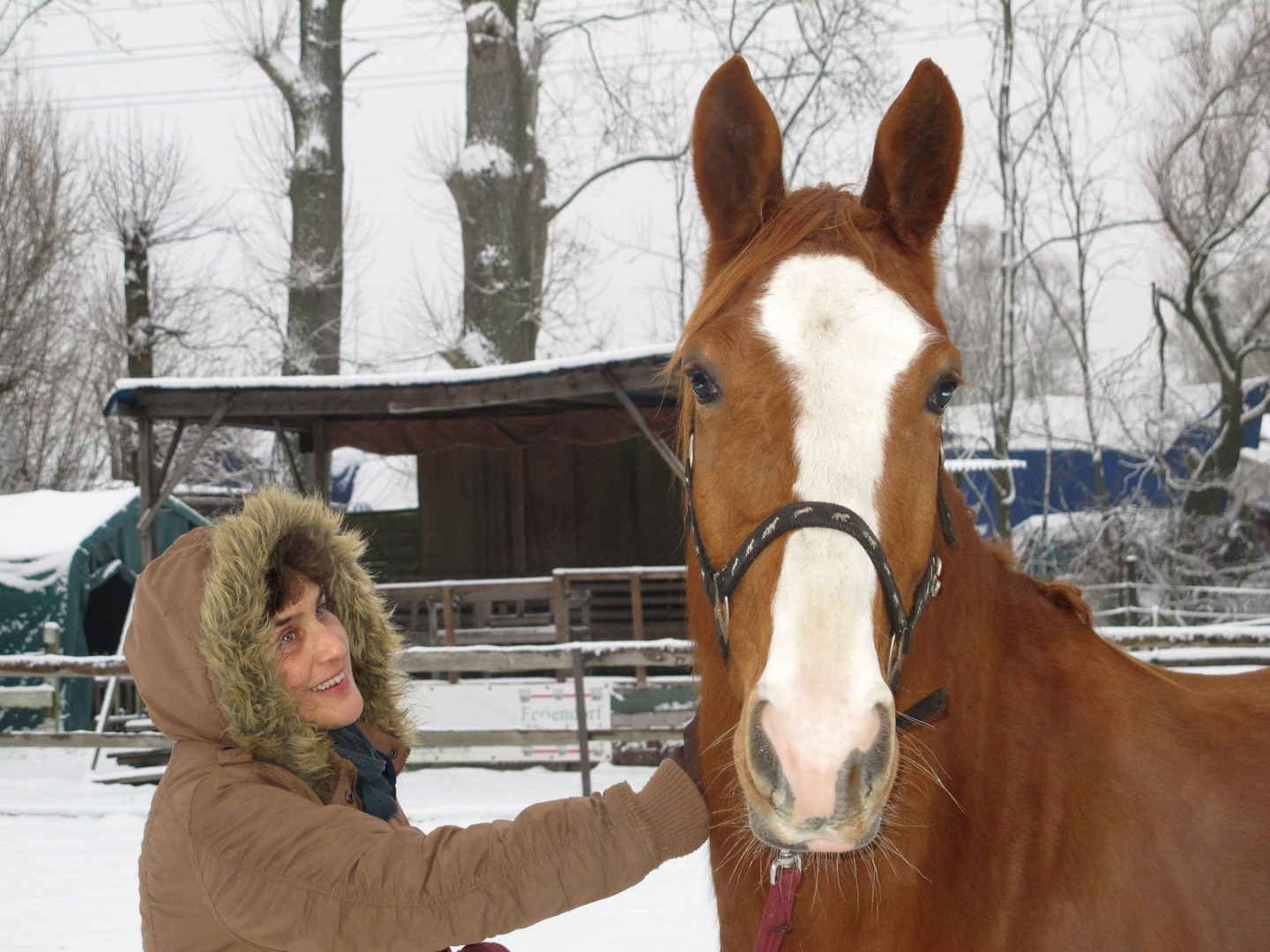 "Manni" im Schnee