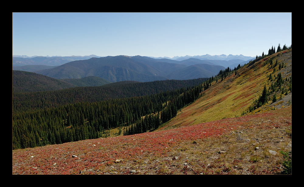 [ Manning Provincial Park ]