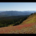 [ Manning Provincial Park ]