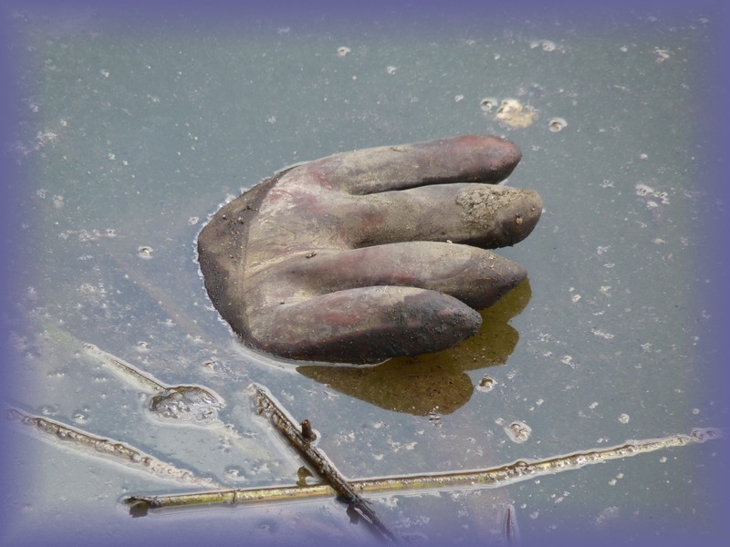 Mano a mano avec la nature