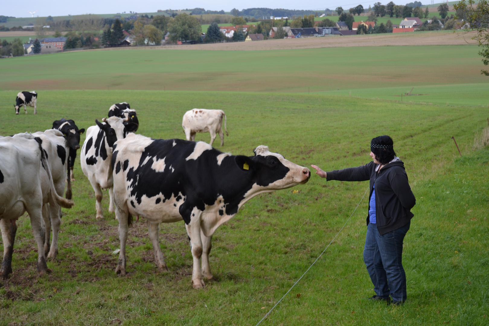 Mano feat Cow