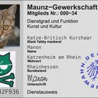 Manon (34) Kunst und Kultur