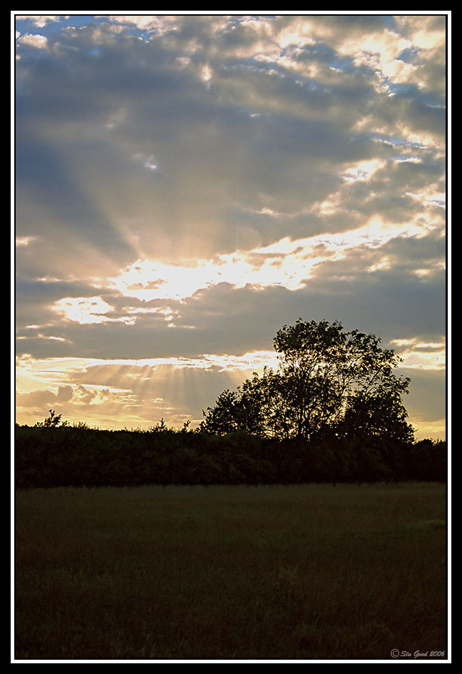 Manor Farm Sunburst