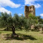 Manosque - Mont d'Or