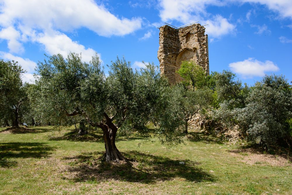 Manosque - Mont d'Or