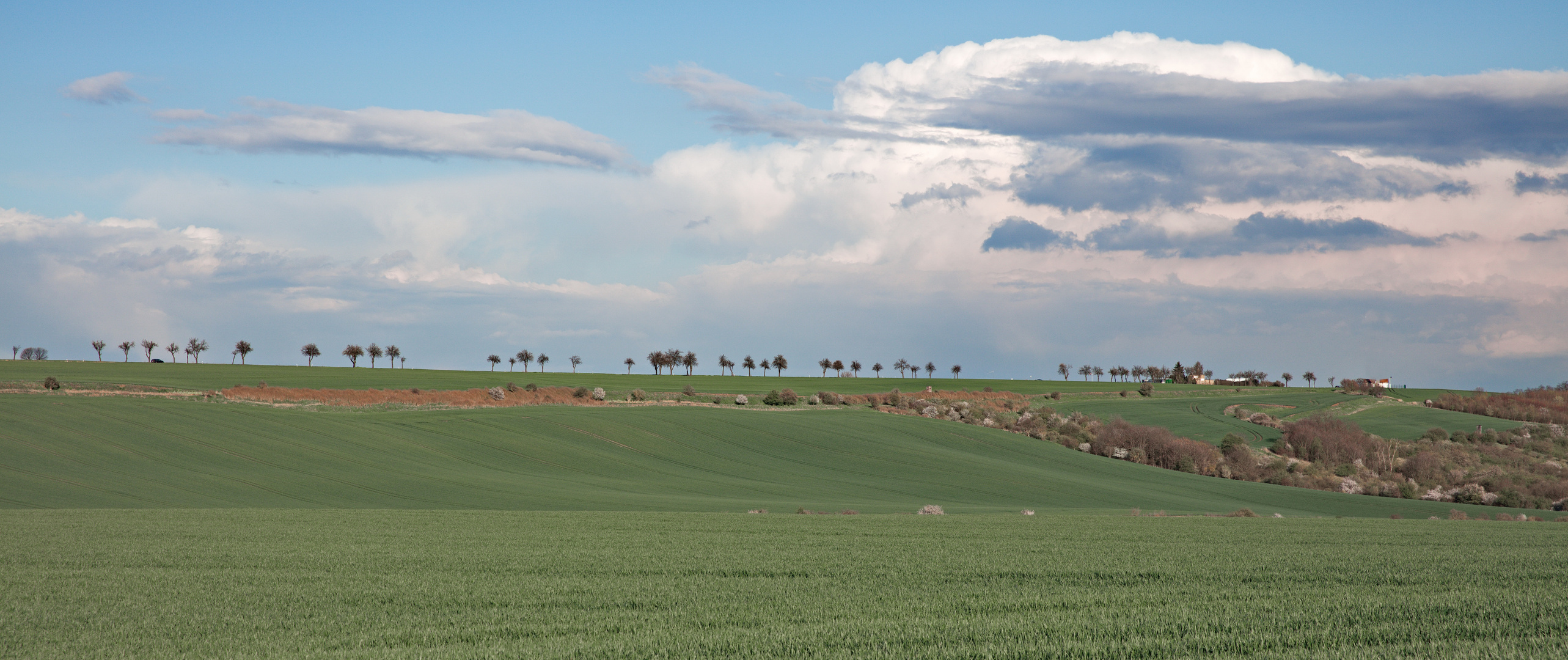 Mansfelder Land im Frühling 2016