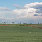 Mansfelder Land im Frühling 2016