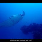 Manta II - Malediven 2004 - Nelivaru - Baa Atoll