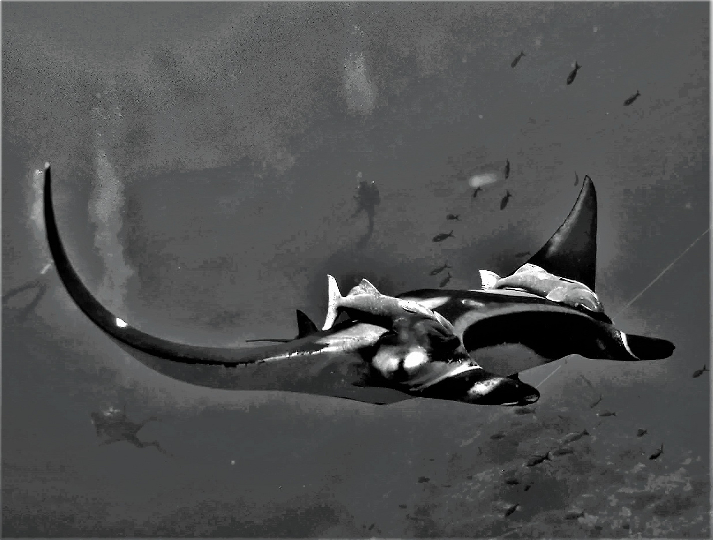 Mantarochen