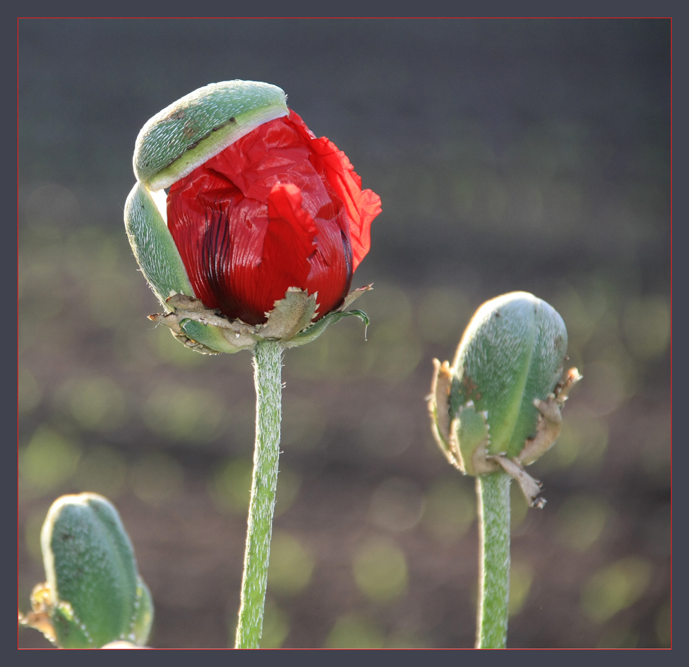 Mantel aus - es wird warm