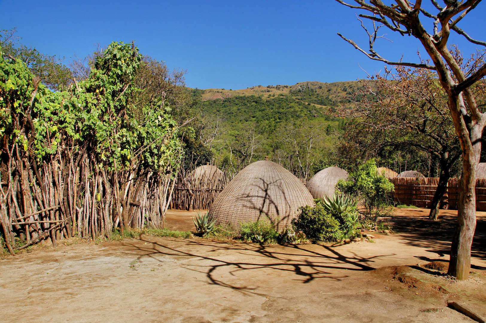 Mantenga Nature Reserve