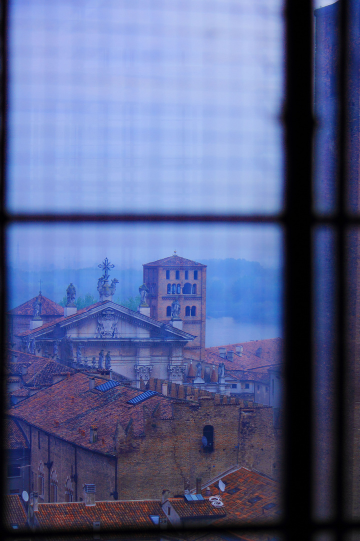 MANTOVA, IL DUOMO VISTO DALLA CUPOLA DI S. SNDREA