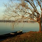 mantova lago 1