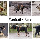 Mantrail für jeden Hund