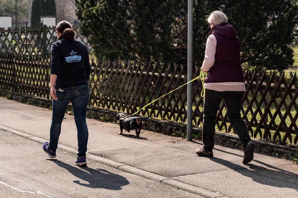 Mantrailing Foto & Bild outdoor, hunde, hund Bilder auf