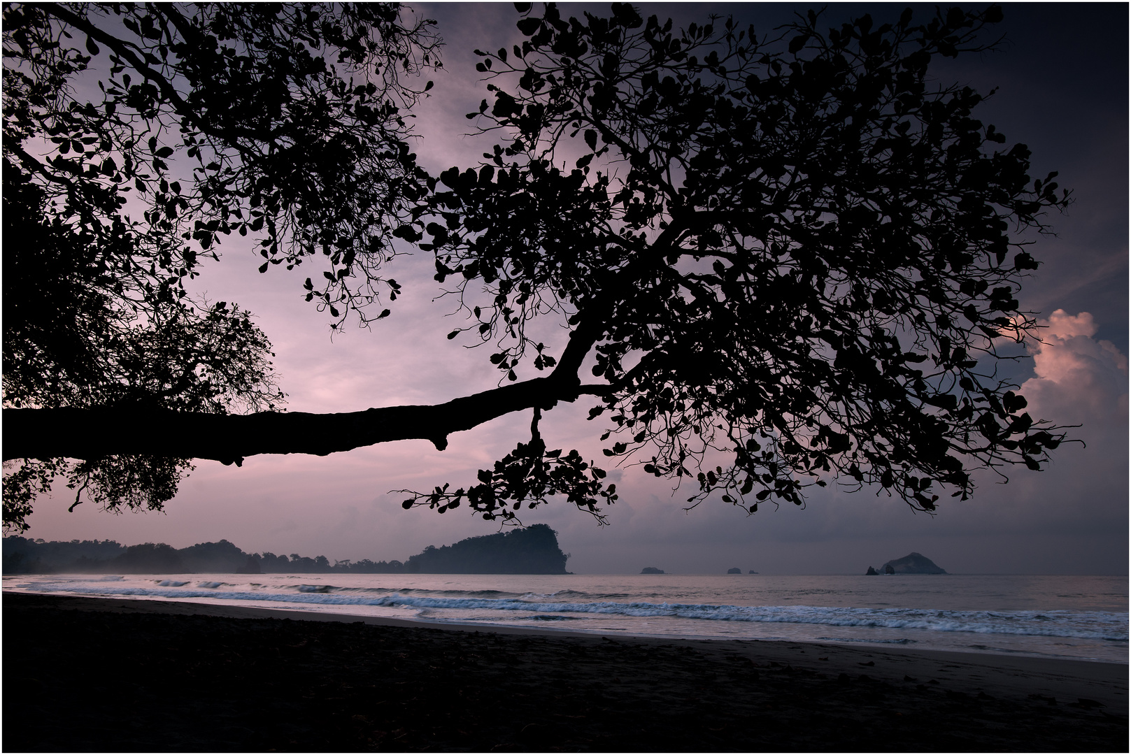 [ Manuel Antonio National Park ]