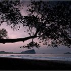 [ Manuel Antonio National Park ]