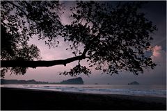 [ Manuel Antonio National Park ]