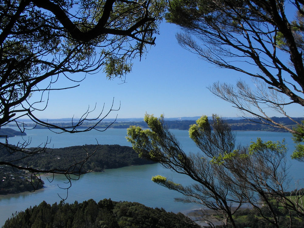 Manukau Harbour