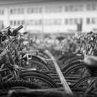 many Bikes