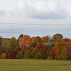 Many colours of autum