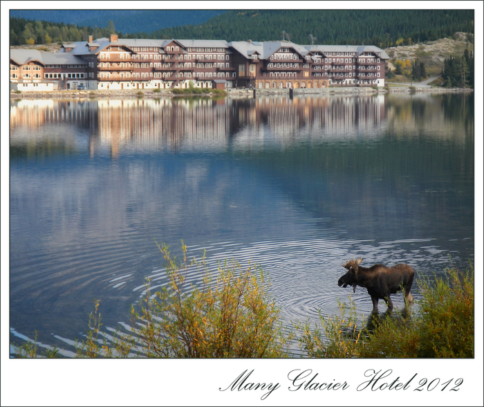 Many Glacier Hotel