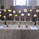 Many kinds of Daffodils.