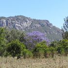 Manyara Nationalpark - Tansania (3)