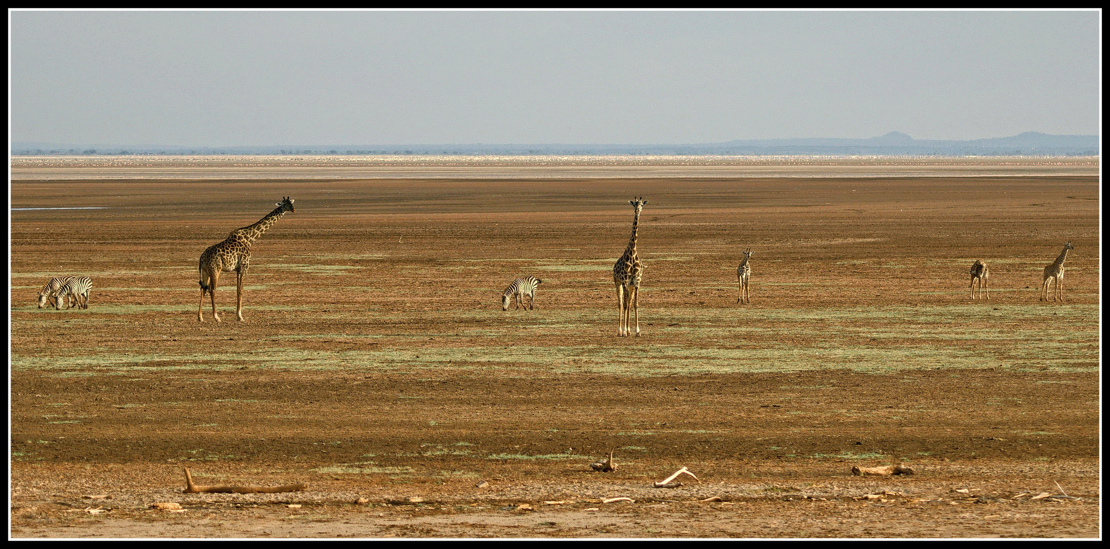 Manyara-See