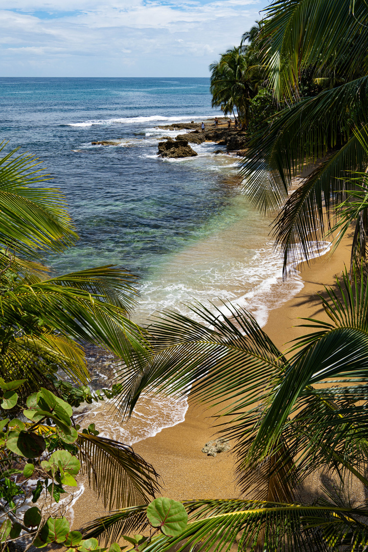 Manzanillo Costa Rica