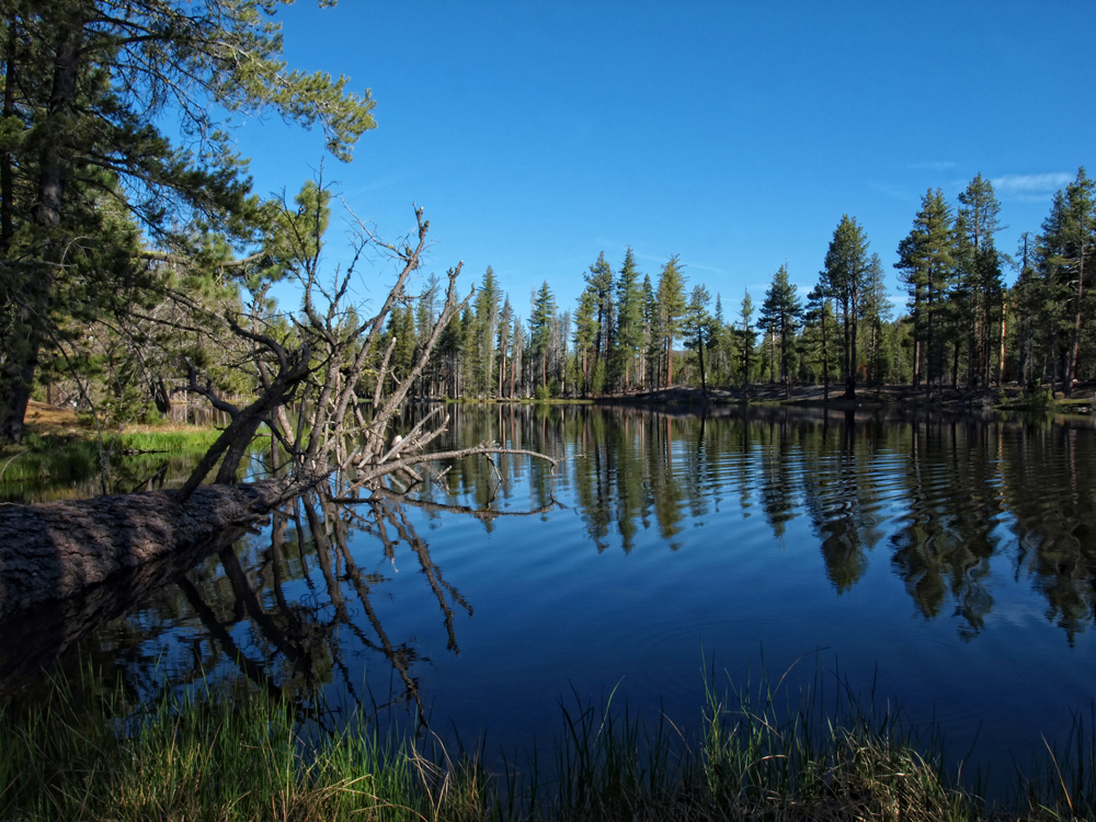 .... Manzanita Lake ....