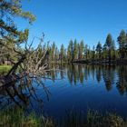 .... Manzanita Lake ....