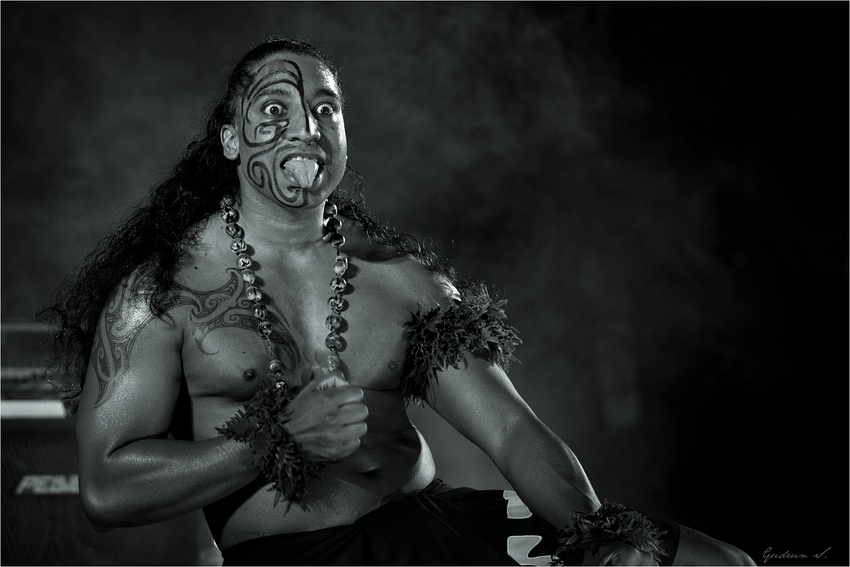 Maori Haka II