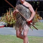 Maori Krieger